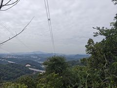 -黄埔油麻山森林公园