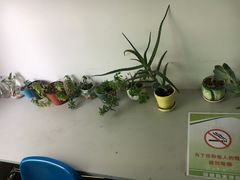 -珠海市中西医结合医院