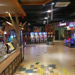 -卡通尼·Safari非洲探索乐园·生日会(金桥国际商业广场店)