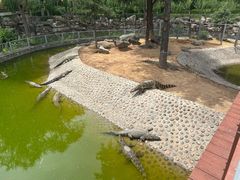 -石家庄市动物园