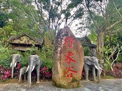 -野象谷景区