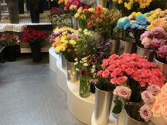 -怡花宜木鲜花店(朝阳路店)
