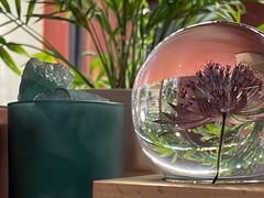 -二酉书店TOYOU BOOKS