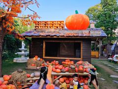 -HERRE·FARM 赫尔露营农场·团建聚会包场