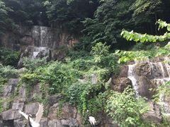 -陶祖圣境风景区