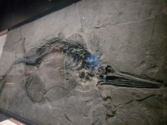 -呼伦贝尔民族博物馆