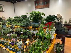 -朝来春花卉市场