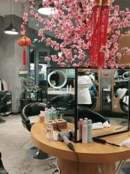 点击看大图 -时尚殿堂明星门店