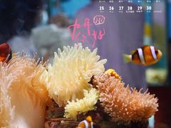 -太平洋海底世界