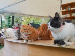 -萌宠亲子动物乐园(槐房万达店)