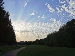 -长白岛森林公园