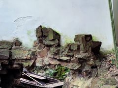 -秋霞圃