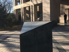 三角-北京大学百年讲堂