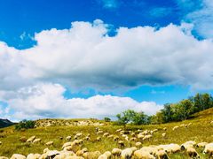 -塞罕坝国家级自然保护区