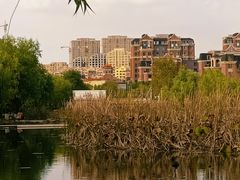 -前关湿地公园