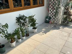 -春风·有糖(崇宁路店)