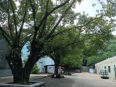 -李小龙乐园(顺德均安店)