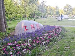 -上海滨江森林公园