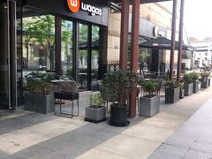 -Wagas沃歌斯(正大乐城店)