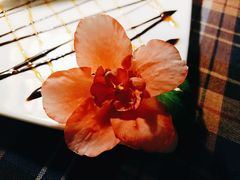 -融园咖啡馆(昙华林店)