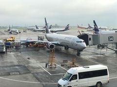 -谢列梅捷沃国际机场