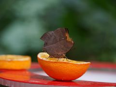 -上海动物园(地铁站)