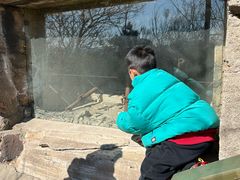 -青岛德国总督楼旧址博物馆