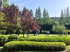 -棒棰岛宾馆景区