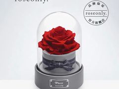 -ROSEONLY诺誓(沈阳万象城店)