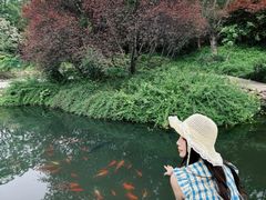 -南湾湖
