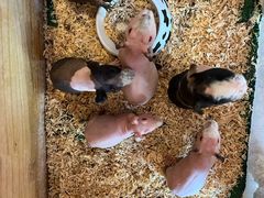 -珠海海泉湾神秘岛亲子乐园