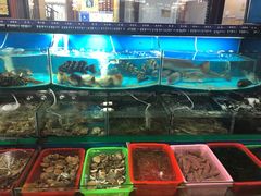 水产区-望海潮海鲜店 特色家常菜(在海一方店)