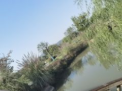 -径山花海