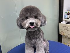 -创凡宠物医院·骨专科  猫科中心(西乡分院)
