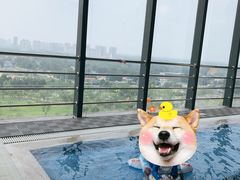 -廊坊固安福朋喜来登酒店