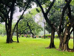 -晓港公园