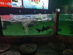 -天怡·鱼工厂(梅溪湖店)