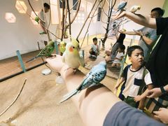 -上海大自然野生昆虫馆(东方明珠·爬宠昆虫探索中心)