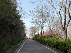 -羊山湖公园