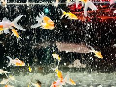 -三越百货(三越银座店)