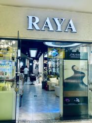 -RAYA韩国造型