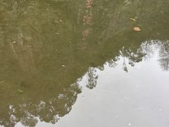 -水濂山森林公园