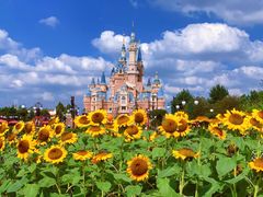 -上海迪士尼度假区