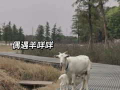-祝甸砖窑文化馆
