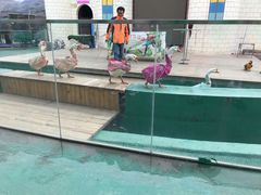 -瓷天下海丝谷