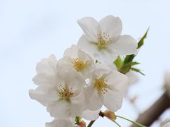 -龙美术馆(西岸馆)