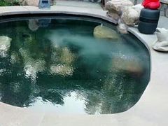 -东方华地城湿地温泉度假区