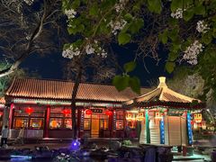 -白家大院·王府宫廷菜(苏州街店)