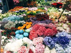 -双季花艺园艺市场(浦东店)