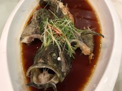 -新加坡泰园村酒楼直营(新华路店)